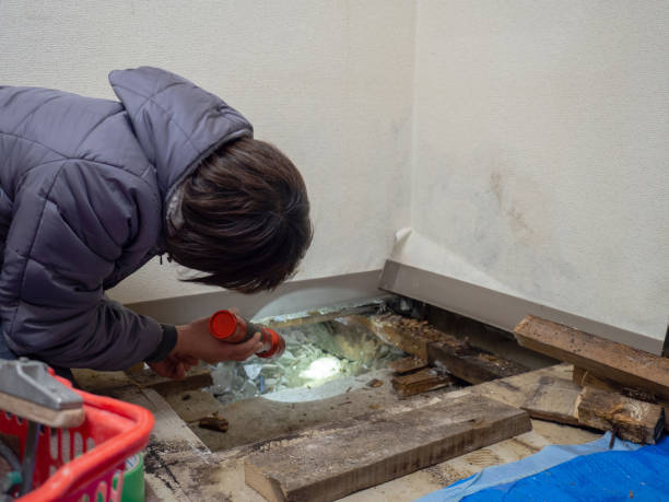 Best Mold Remediation for Healthcare Facilities  in Odenton, MD
