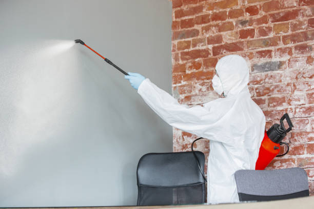 Best Biohazard Mold Removal  in Odenton, MD