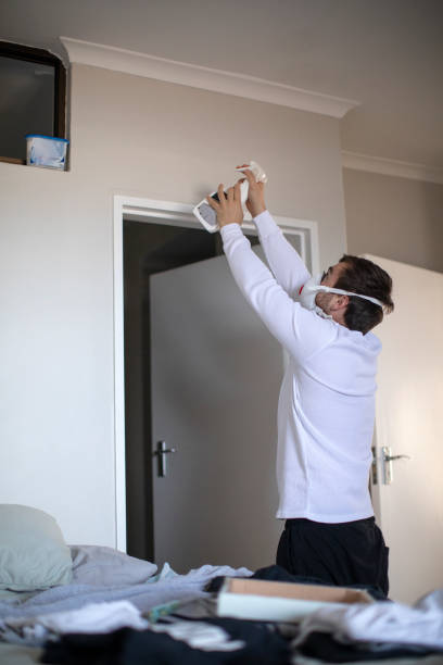 Best Mold Removal for HVAC Installations  in Odenton, MD