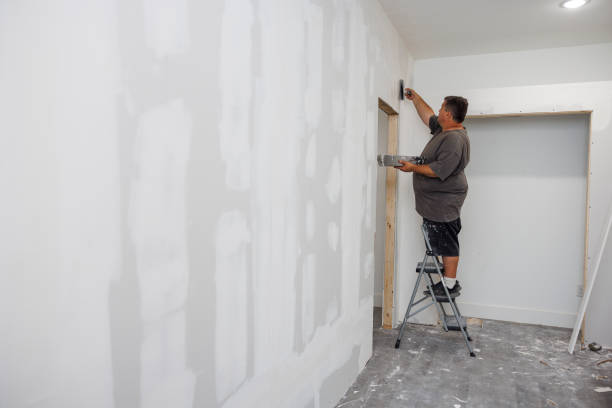 Best Attic Mold Removal  in Odenton, MD