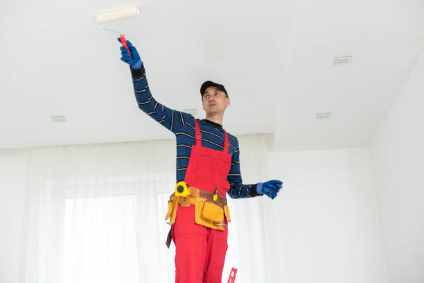 Best Basement Mold Removal  in Odenton, MD