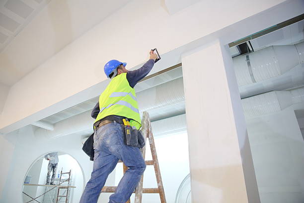 Best Emergency Mold Remediation  in Odenton, MD